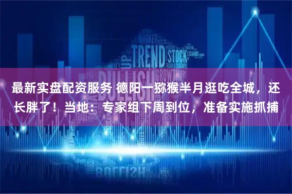 最新实盘配资服务 德阳一猕猴半月逛吃全城，还长胖了！当地：专家组下周到位，准备实施抓捕